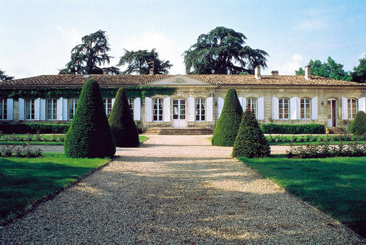 CHATEAU MAGNOL Cru Bourgois Haut-Medoc 2022 75cl Rot