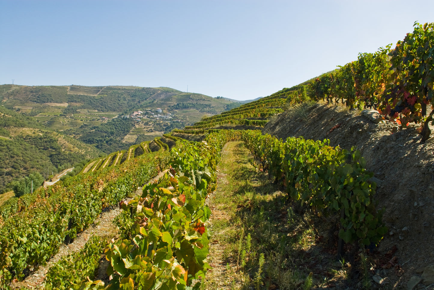 ROZÈZ Porto 10 Jahre 75cl Infanta Isabel Geschenkverpackung
