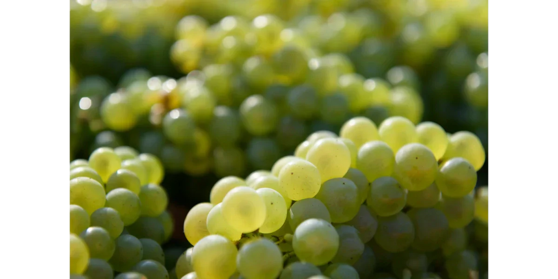 Die Champagner-Dosage – Brut, Extra Brut & mehr