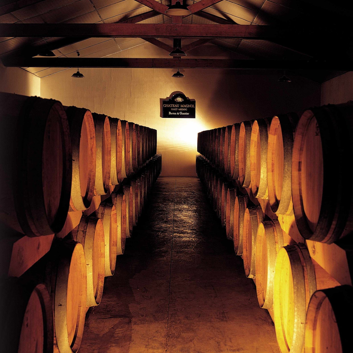 CHATEAU MAGNOL Cru Bourgois Haut-Medoc 2022 75cl Rot