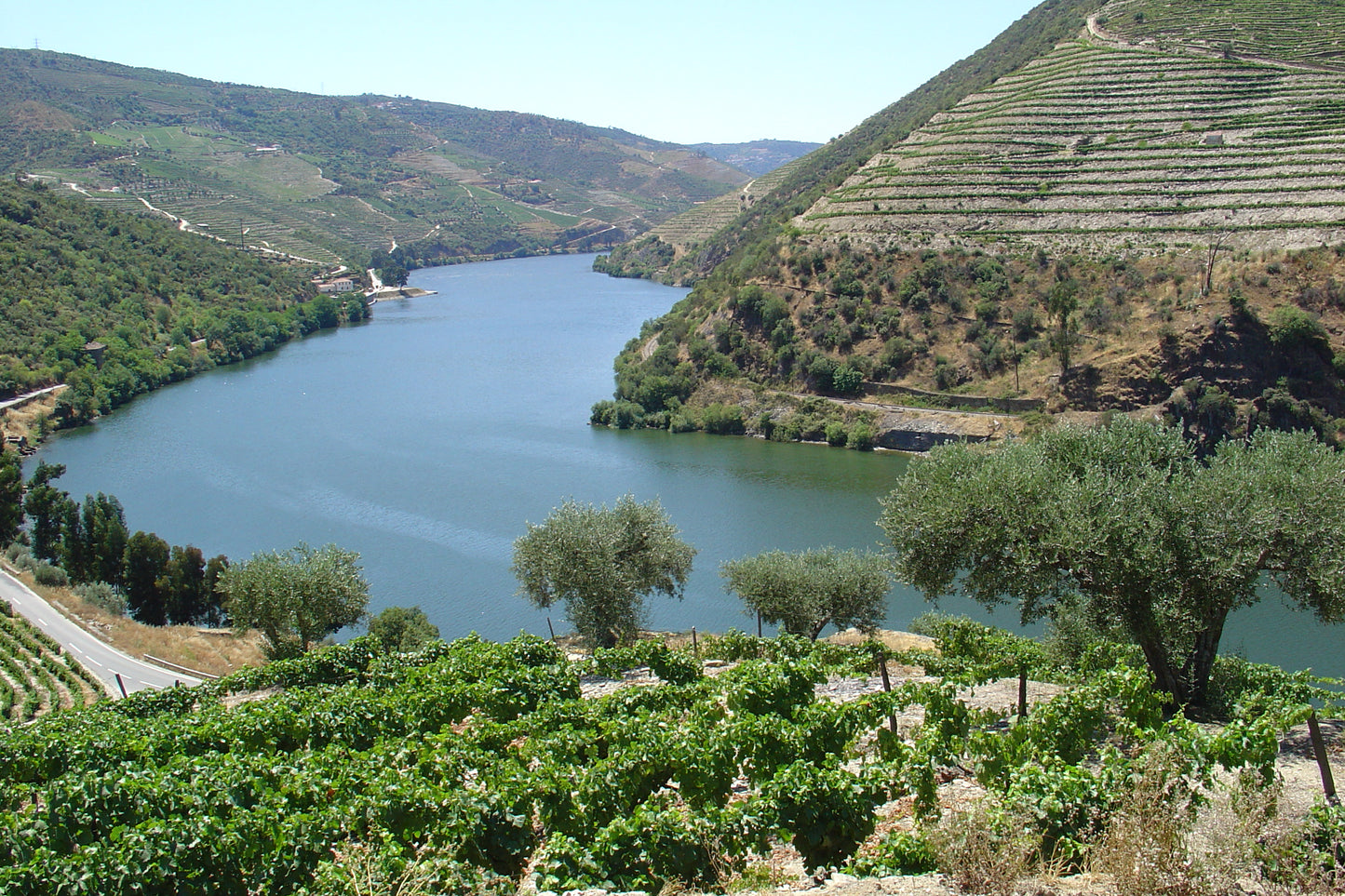 TERRAS DO GRIFO Grande Reserva 2017 75cl Rot DOP Douro Superiore