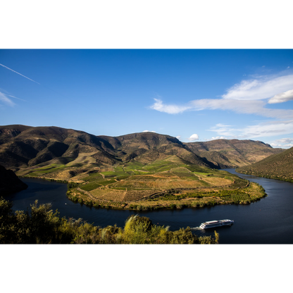 TERRAS DO GRIFO Grande Reserva 2019 75cl Weiß DOP Douro Superiore