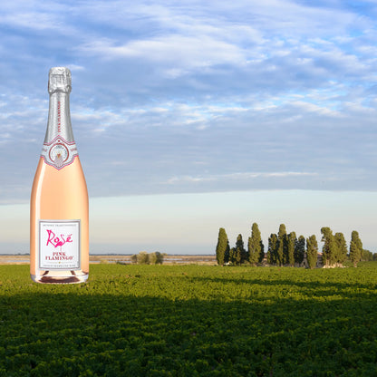 Pink Flamingo Sparkling Rose 0,75l