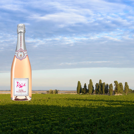 Pink Flamingo Sparkling Rose 0,75l