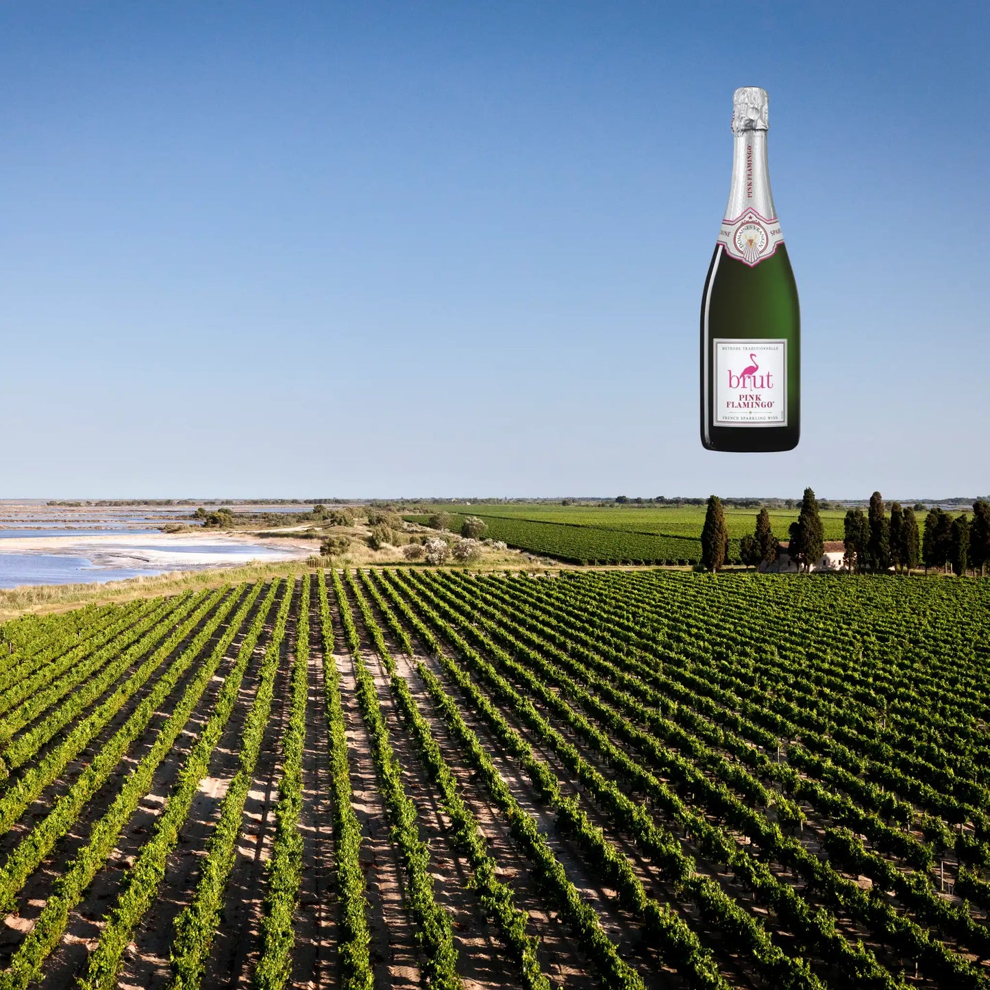 Pink Flamingo Sparkling Brut 0,75l
